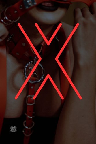 VIXXEN